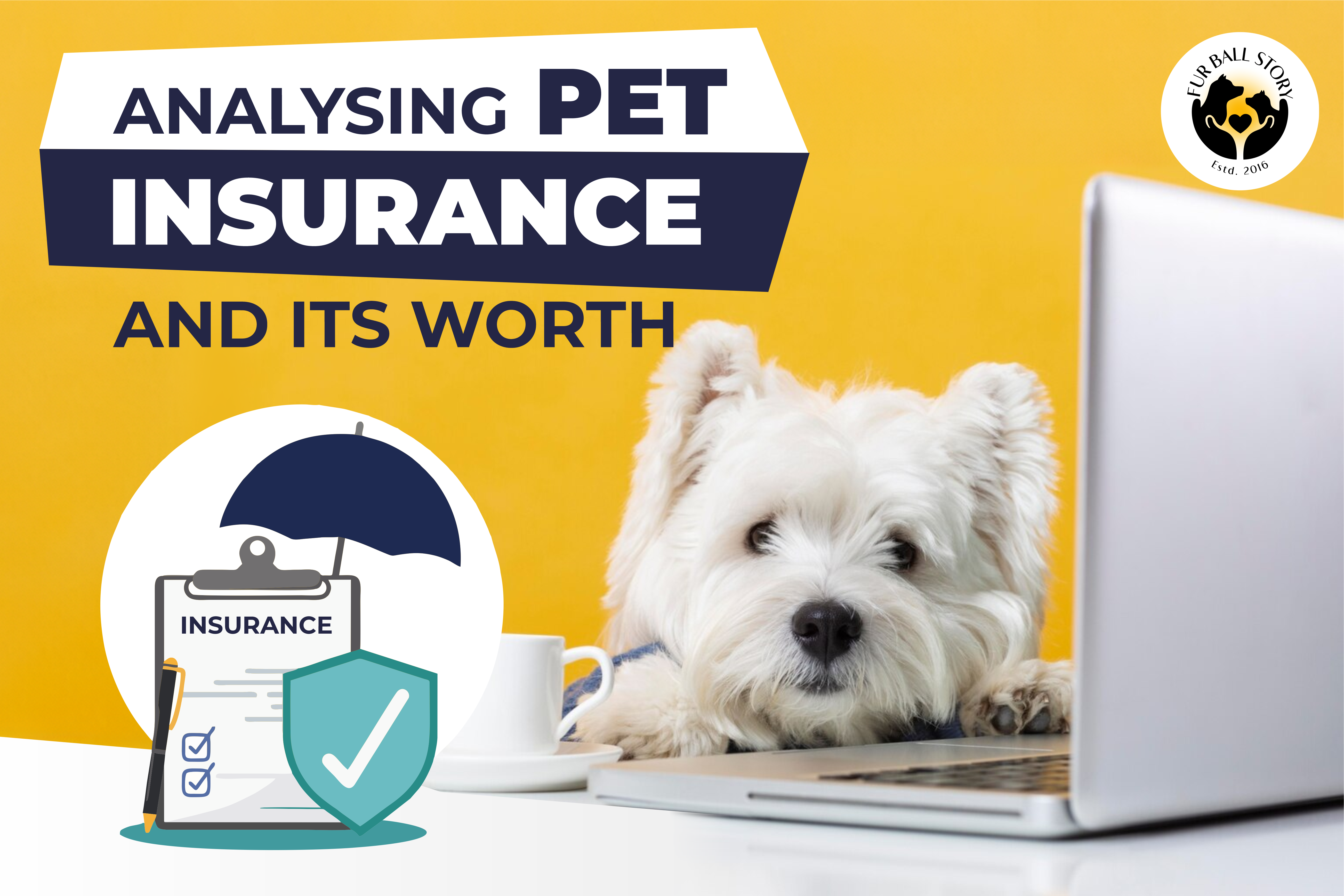 pet insurance 