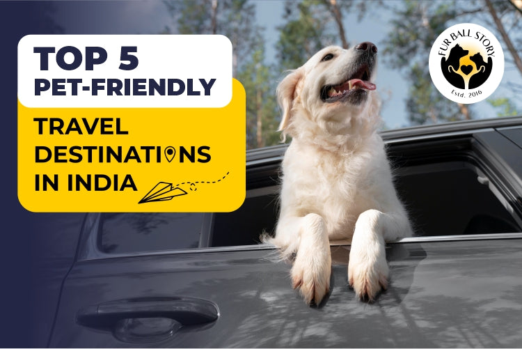 Summer Escape: Top 5 Destinations in India to Travel with your Pet this Summer