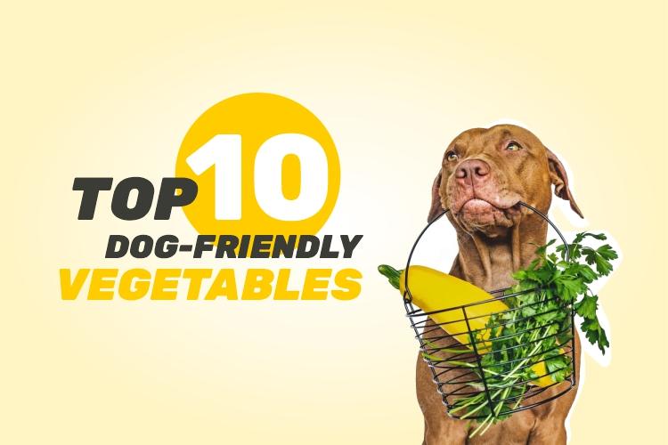 Top 10 dog friendly vegetables