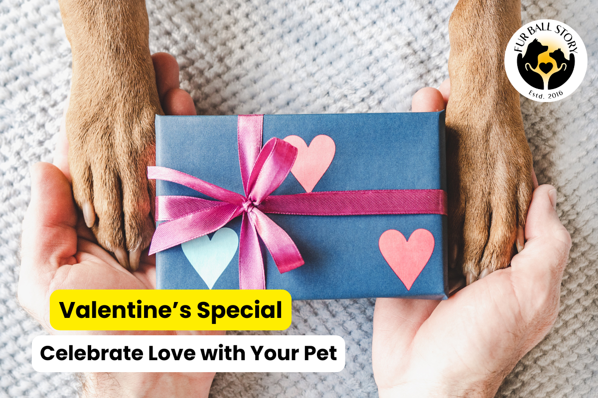 Celebrate Love with Your Furry Friends: Valentine’s Day Special