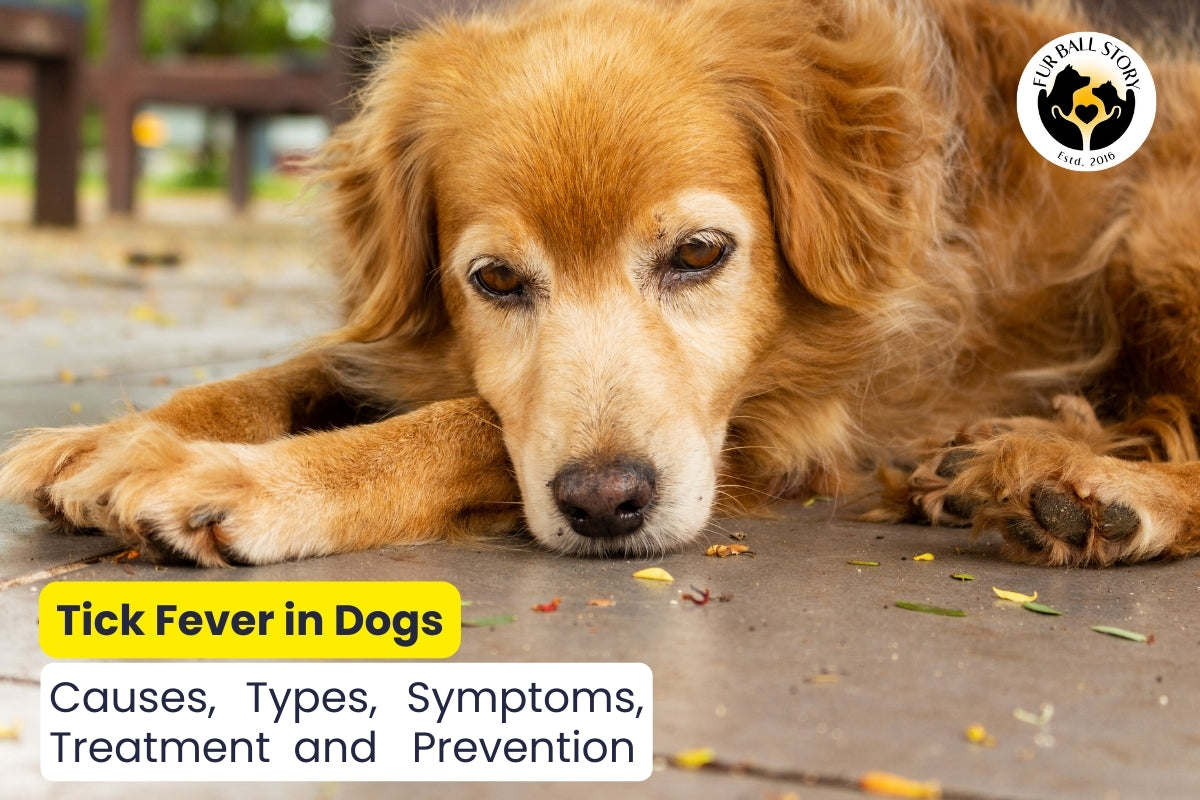 Tick Fever in Dogs: Causes, Types, Symptoms, Treatment & Prevention