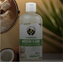 Cat Grooming