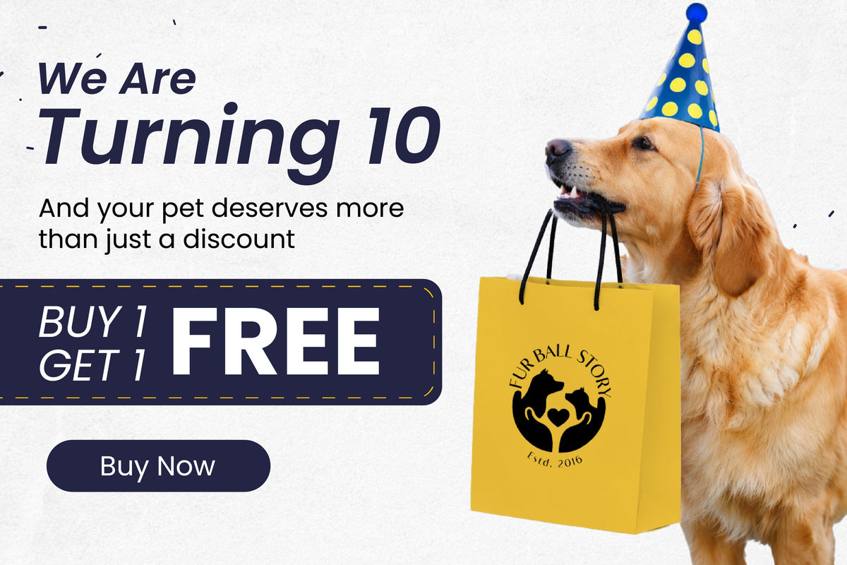 BUY ONE GET ONE FREE