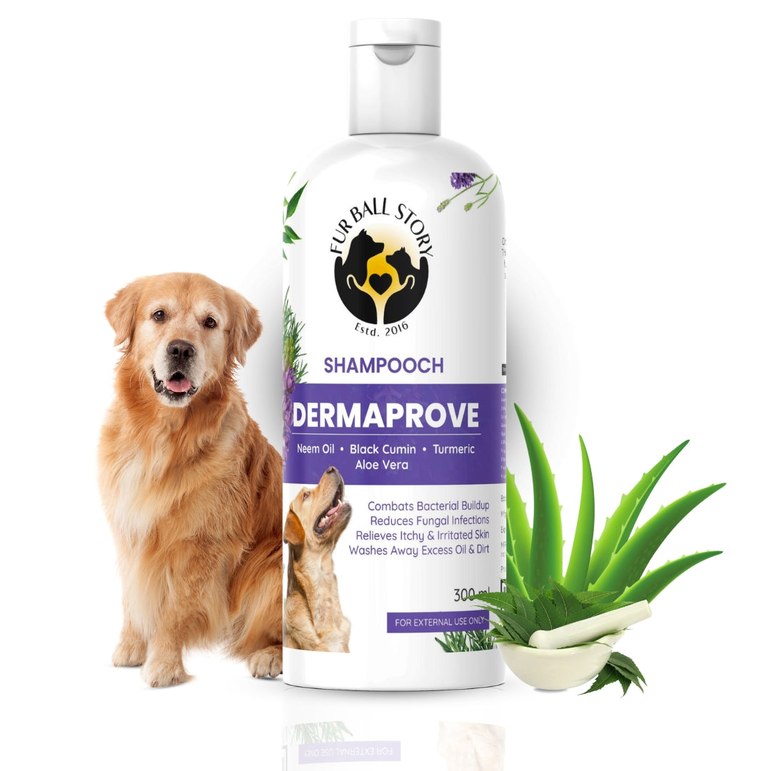 Dermaprove: Antifungal Dog Shampoo - 300ml