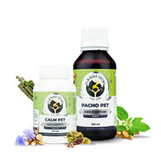 Travel with Pet Kit