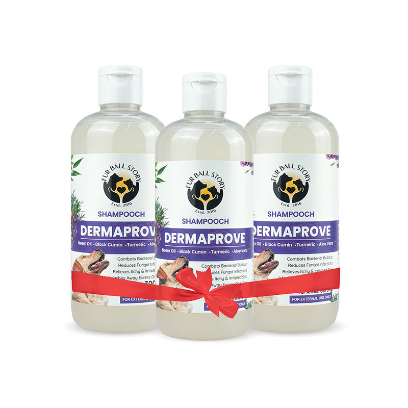 Dermaprove: Antifungal Dog Shampoo - 300ml (BUY 2 GET 1 FREE)