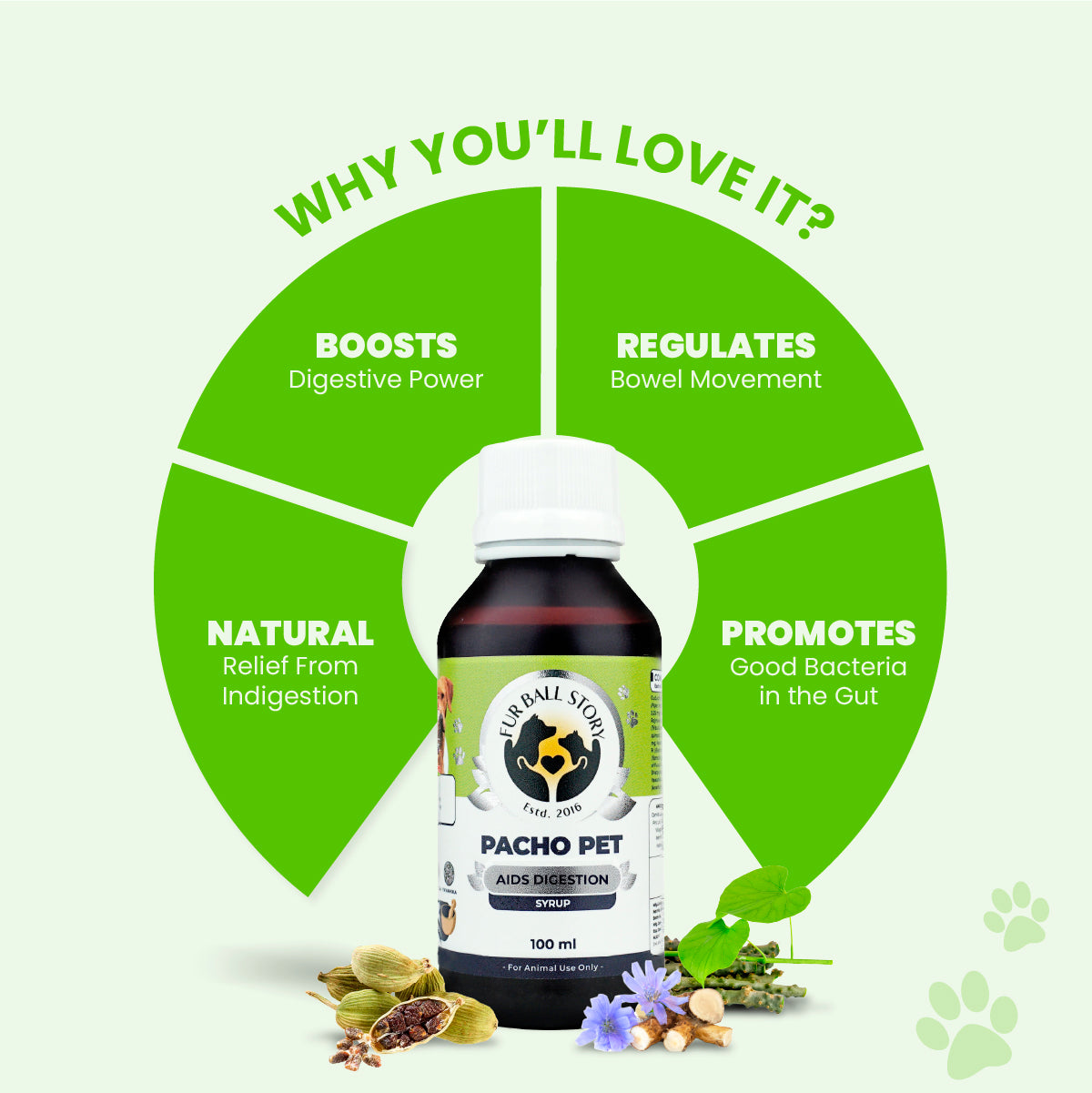 Pacho Pet: Relieves Stomach Problems In Dogs & Cats - 100ml