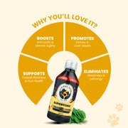 Supertonic Syrup: Ensures Head to Tail Wellness of Dogs & Cats - 200ml