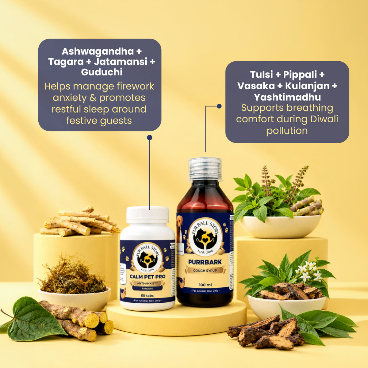 Diwali Care Kit