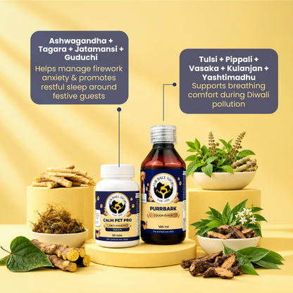 Diwali Care Kit