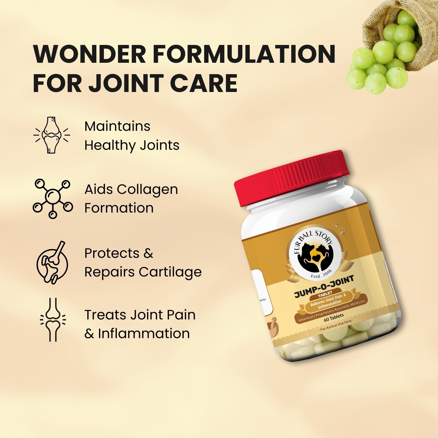 Jump-O-Joint Joint Support Tablets for Dogs and Cats - Healthy Joint Care