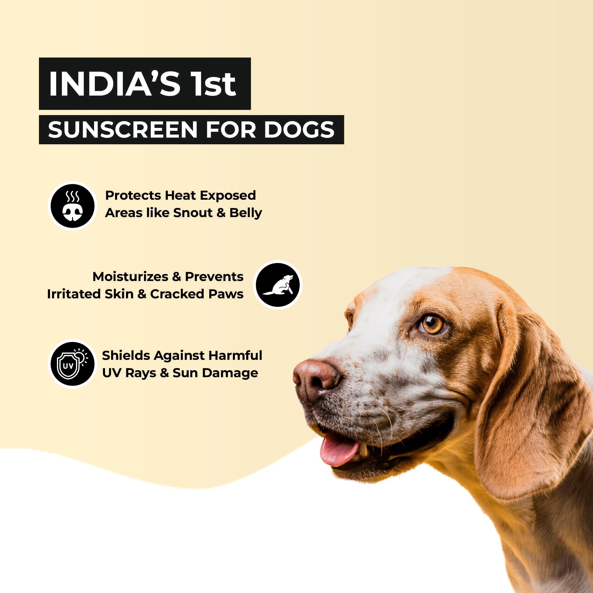 Cool Pet: Moisturizing Sunscreen For Dogs 