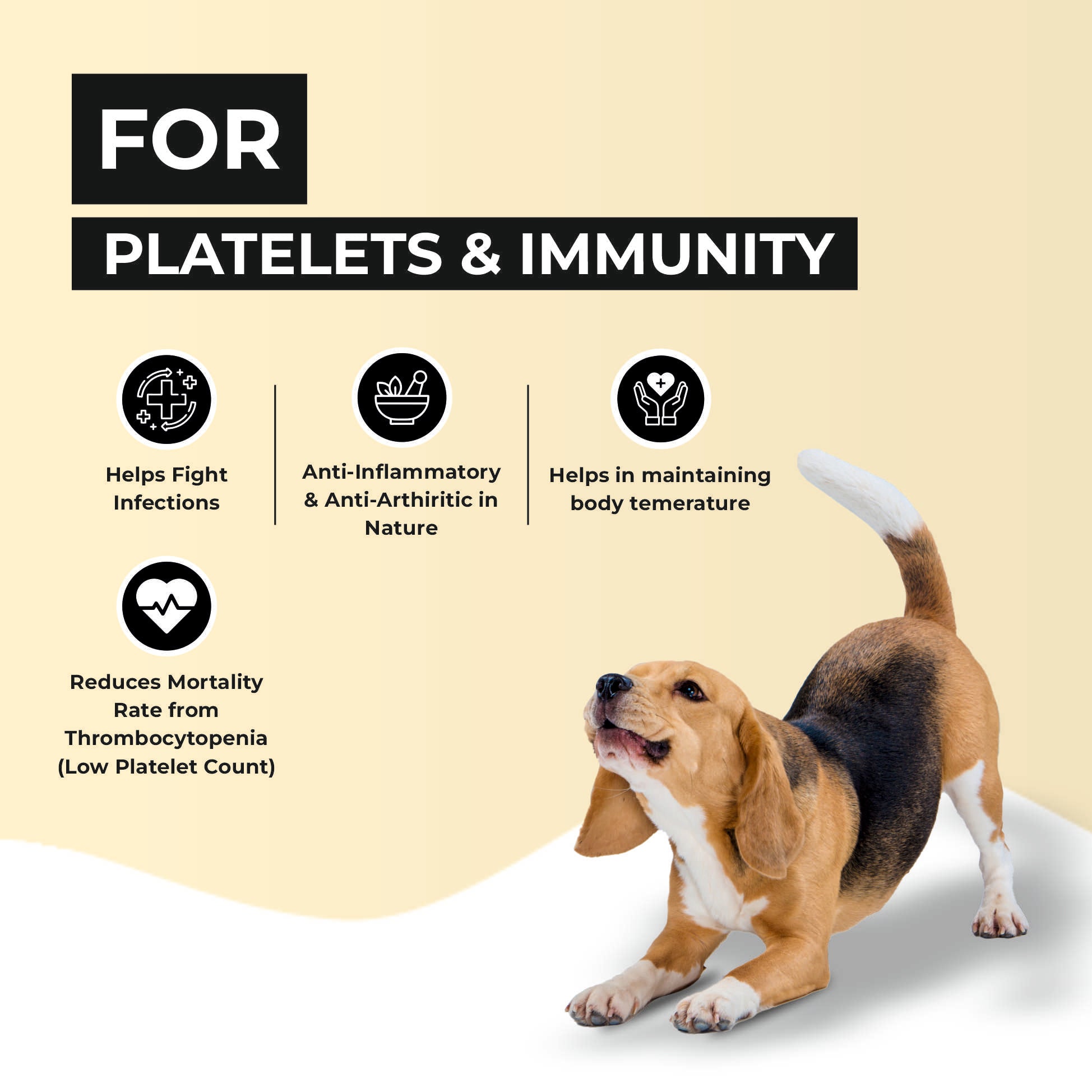 Plate Pet: Increases Platelets & Boosts Immunity in Dogs & Cats 