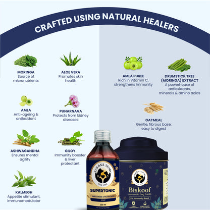 Dog Immunity Kit - Biskoof Immunity Boost & Supertonic Syrup