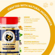 Jump-O-Joint Tablet: Relieves Joint Pain in Dogs & Cats (60 Tab/81gm)