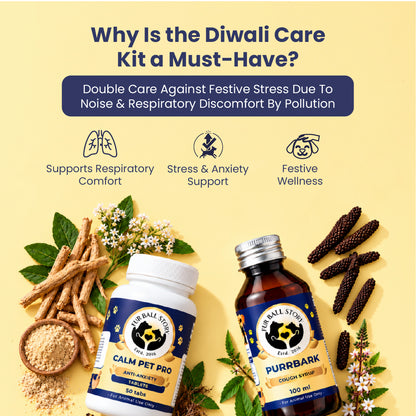 Diwali Care Kit