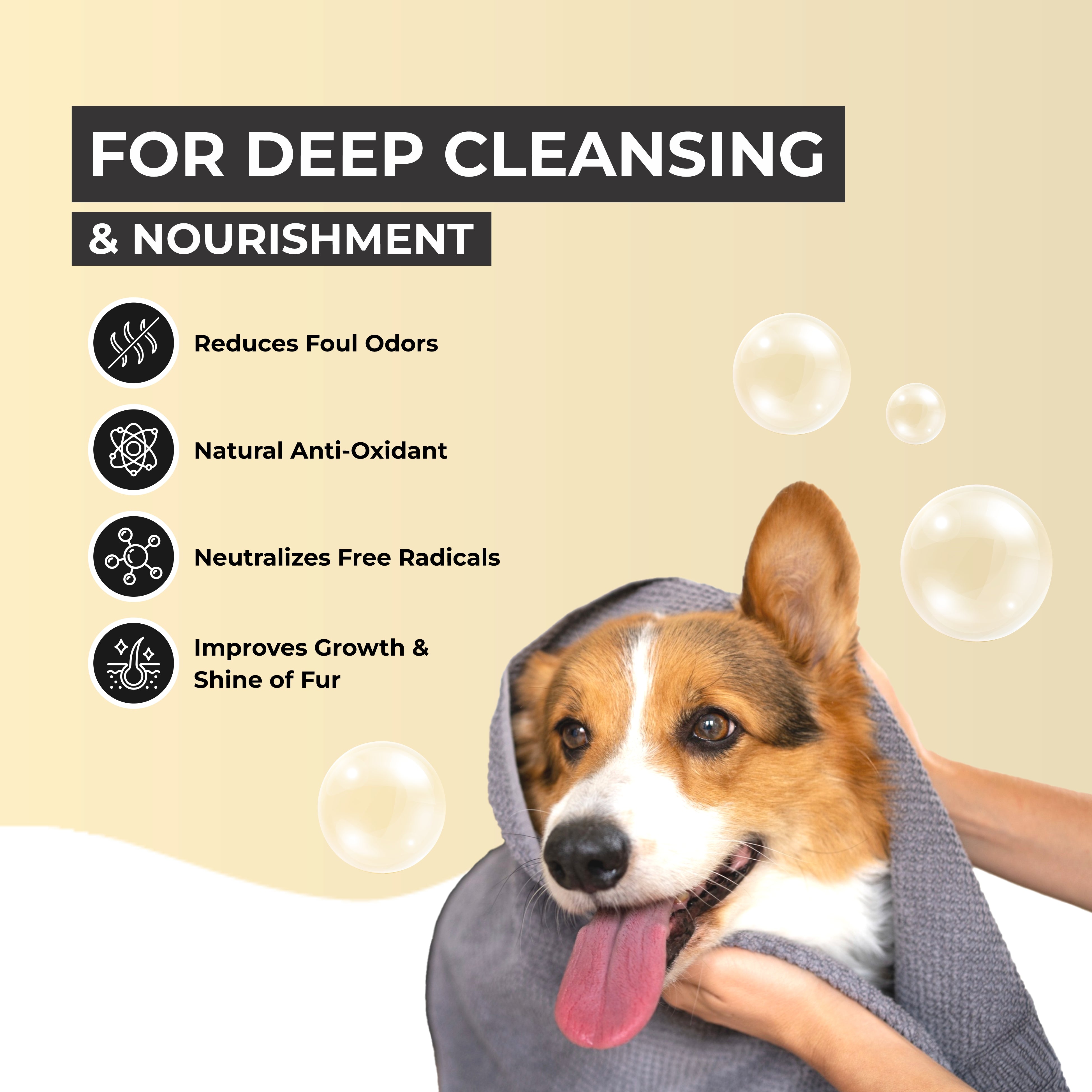 Shampooch: Dog Shampoo For Healthy Skin & Shiny Coat - 300ml 