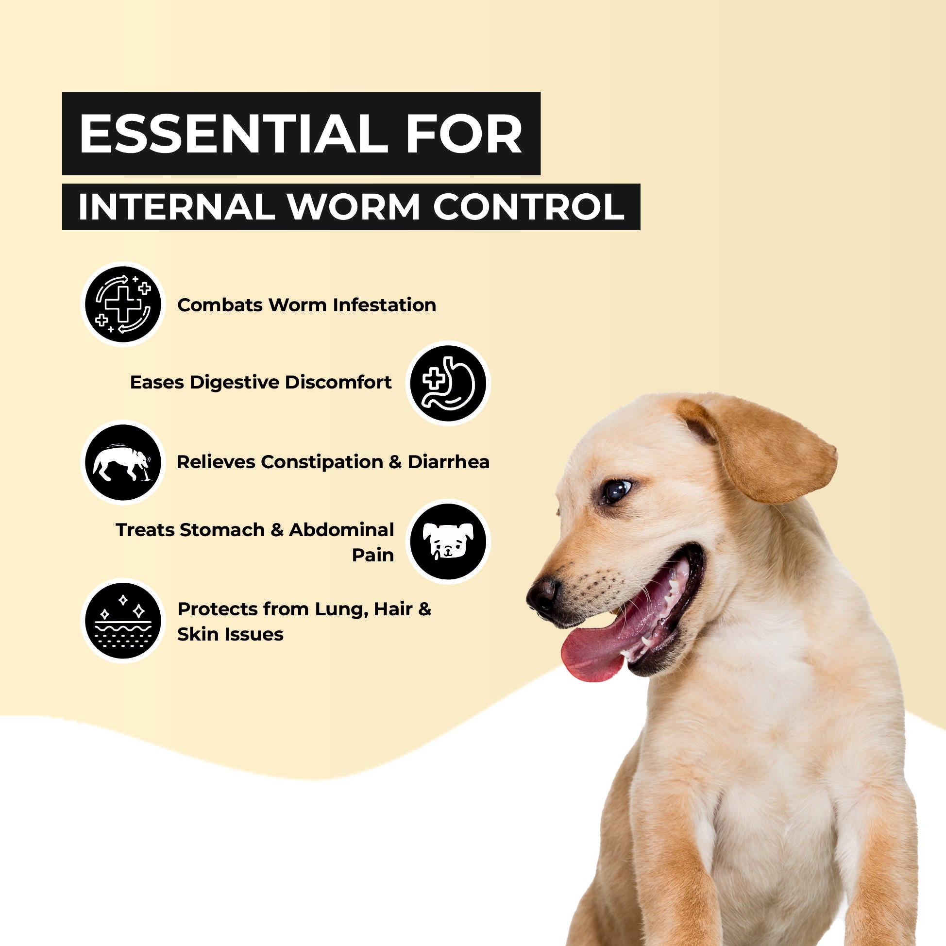 Worm No More: India's 1st Ayurvedic Deworming Tablet for Dogs & Cats (10 Tab/4gm) 
