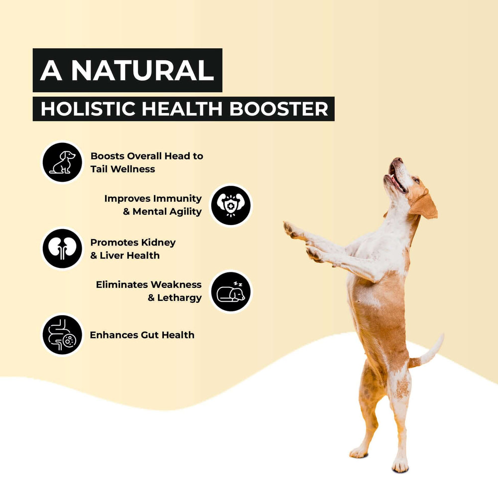 Supertonic Syrup Ensures Head to Tail Wellness of Dogs & Cats
