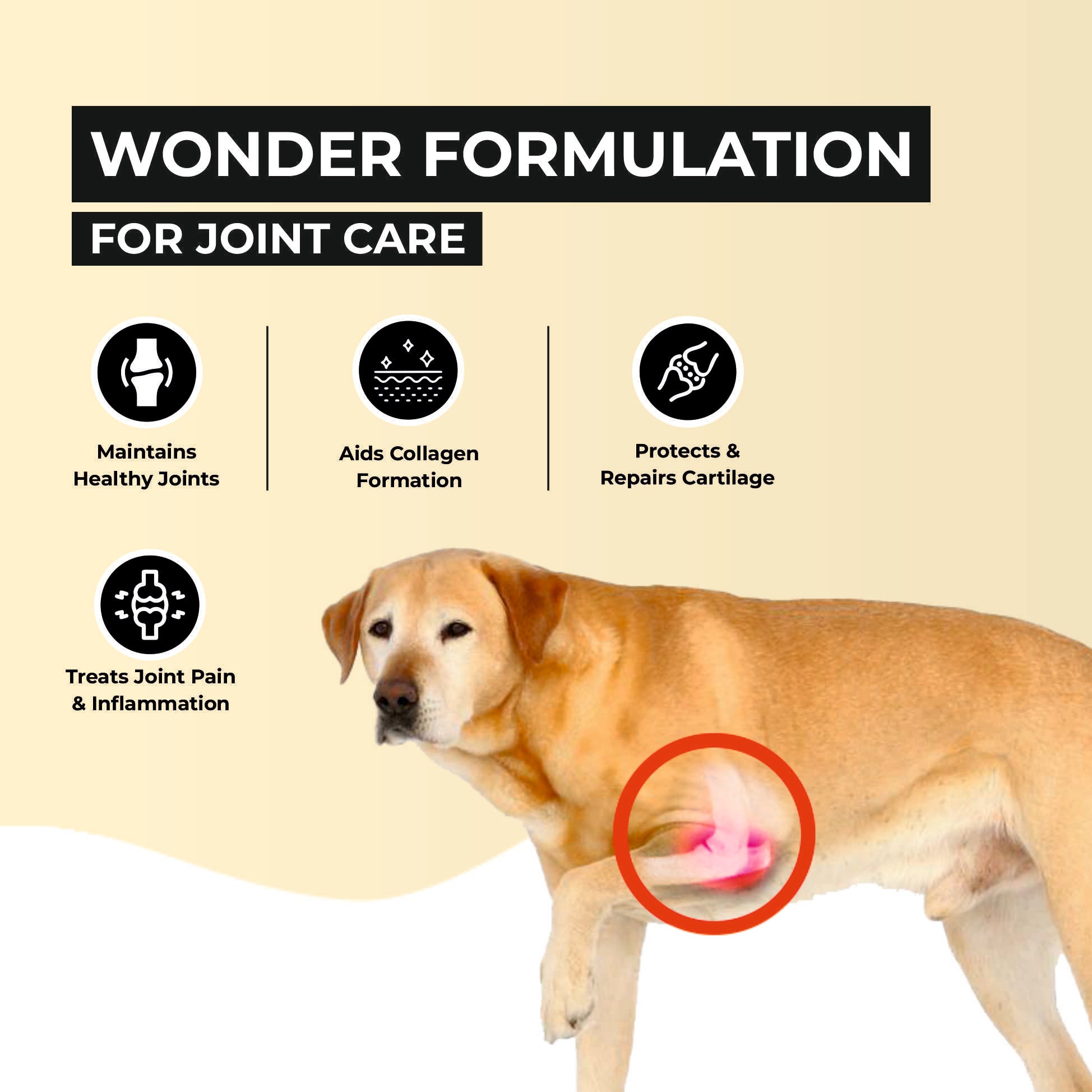 Jump-O-Joint Tablet: Relieves Joint Pain in Dogs & Cats (60 Tab/81gm) 
