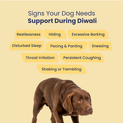 Diwali Care Kit