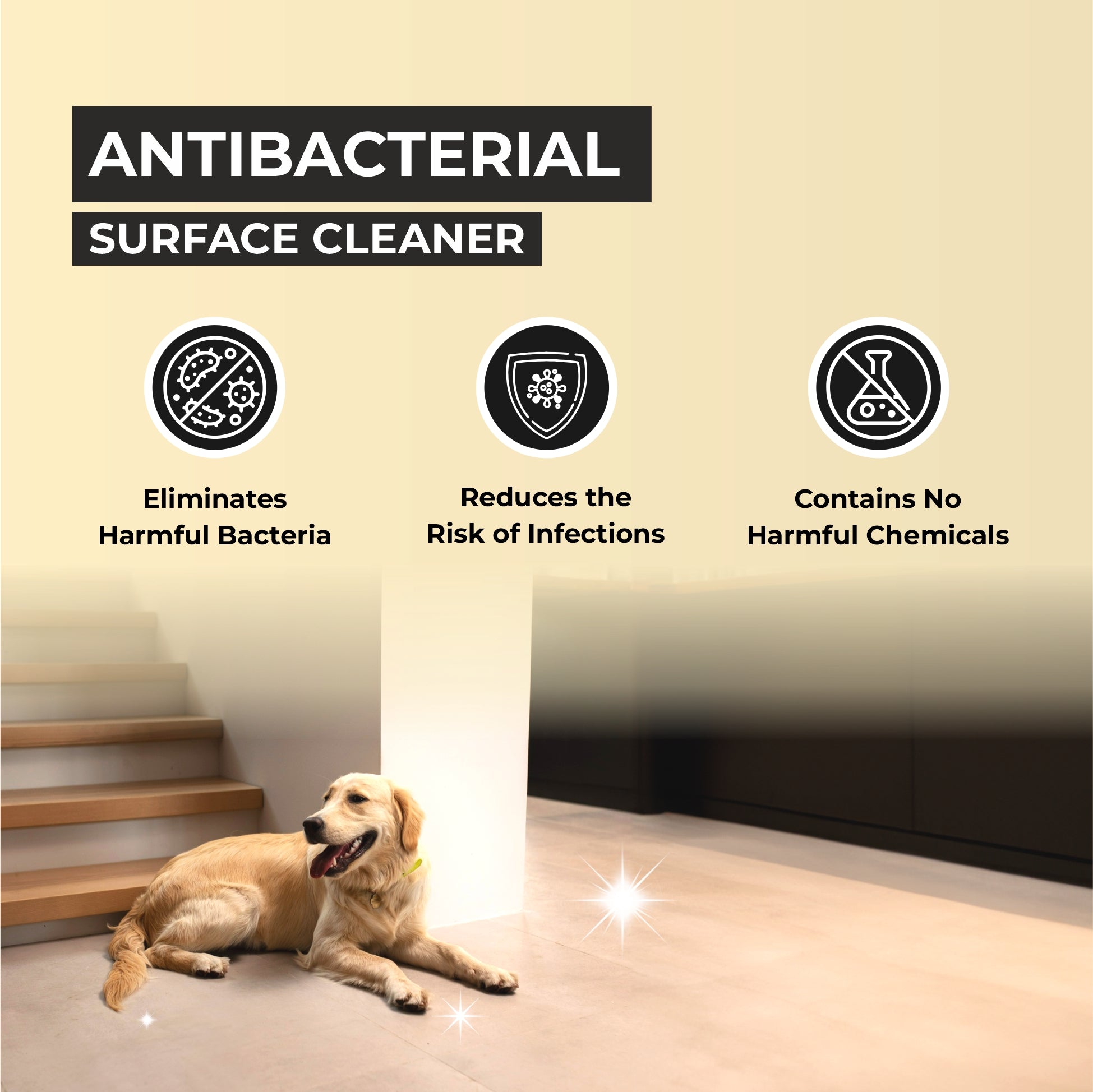 Petly : Anti Bacterial Surface Cleaner for Pet-Friendly Homes (500 ml)