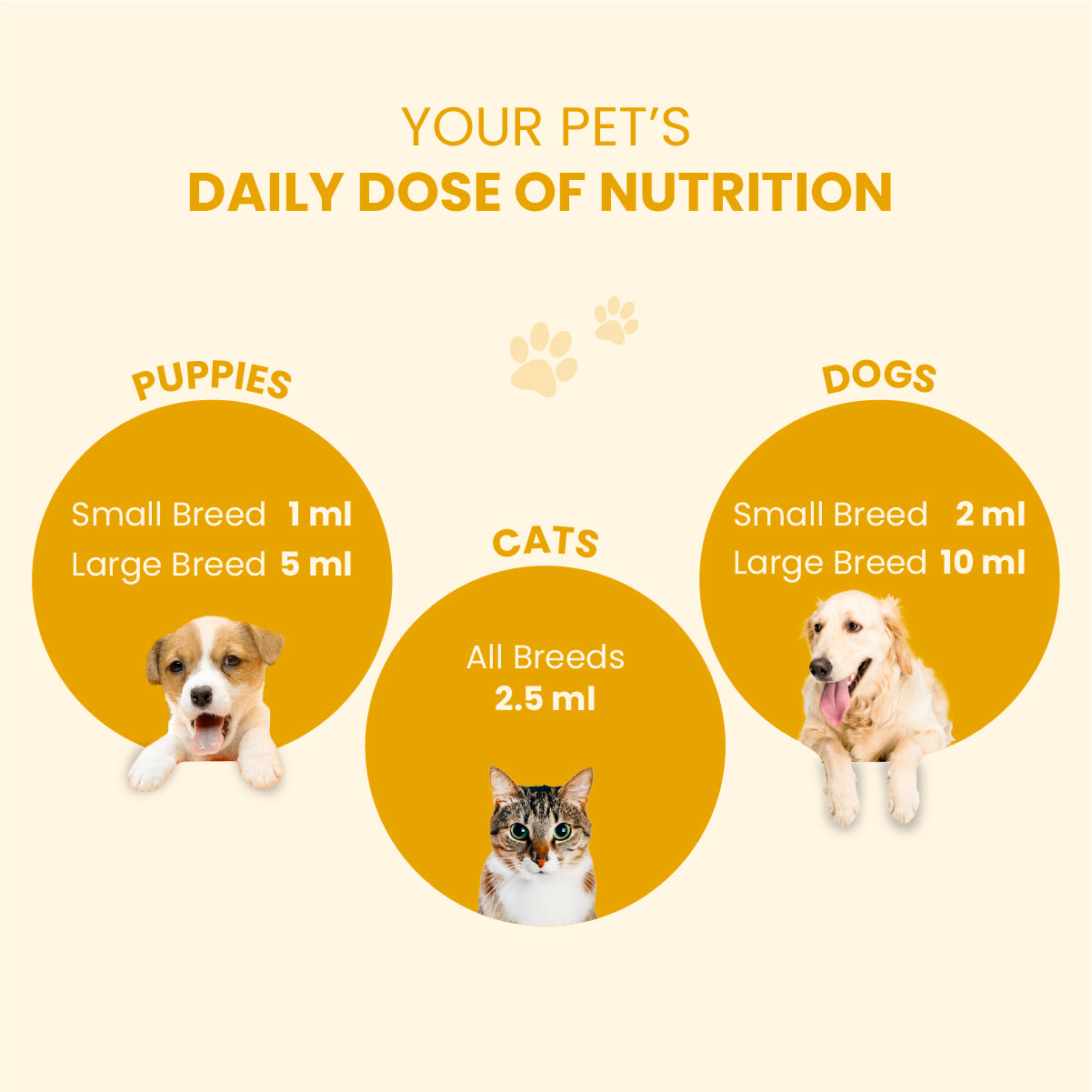 Supertonic Syrup: Ensures Head to Tail Wellness of Dogs & Cats - 200ml