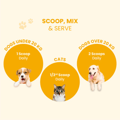 Wag Boost - Pet Food Topper for Healthy Bones, Skin & Immunity