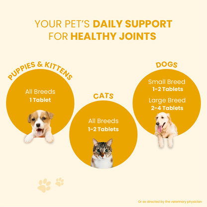 Jump-O-Joint Tablet: Relieves Joint Pain in Dogs & Cats (60 Tab/81gm)
