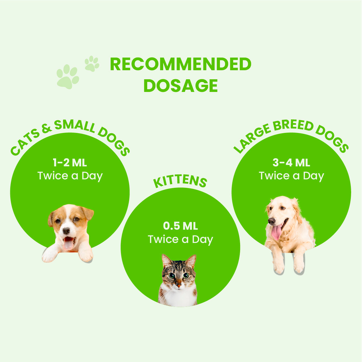 Pacho Pet: Relieves Stomach Problems In Dogs & Cats - 100ml