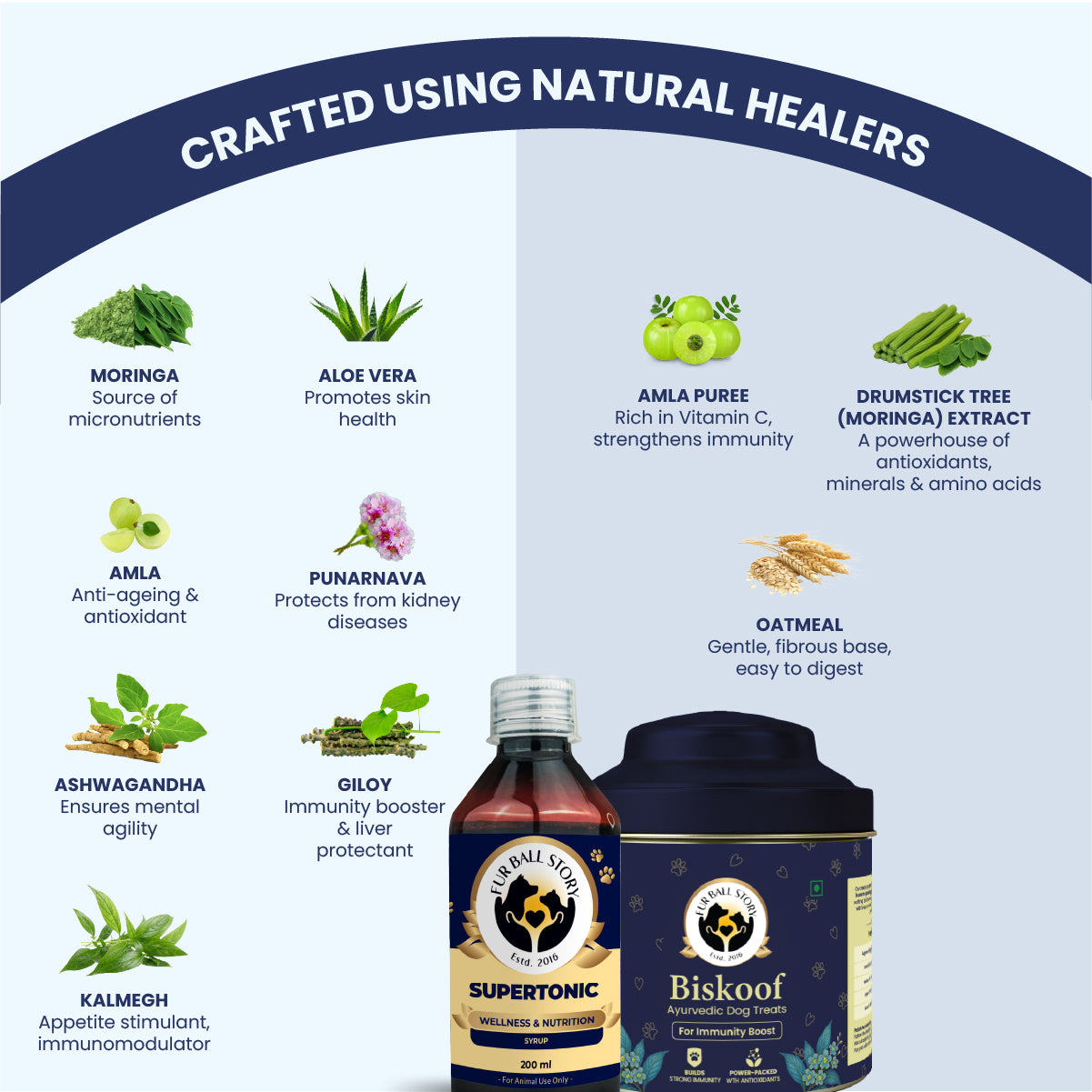 Dog Immunity Combo - Biskoof Immunity Boost & Supertonic Syrup