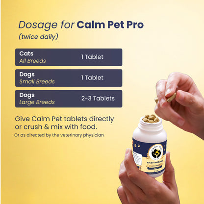 Diwali Care Kit