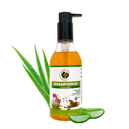 A clear pump bottle containing amber Fur Ball Story Shampooch Tick-Free shampoo, accented by whole aloe vera leaves and sliced aloe vera sections on a checkered background.