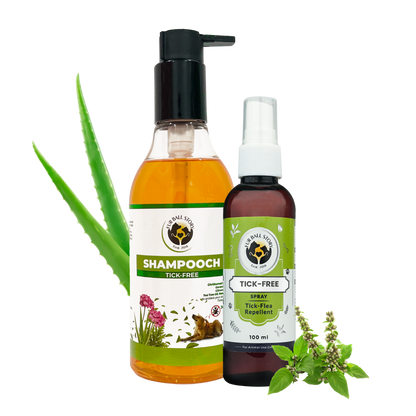 A clear pump bottle with amber-colored Shampooch Tick-Free shampoo standing next to a 100ml Tick-Free spray bottle, decorated with aloe vera stalks and green herbs against a checkered background.