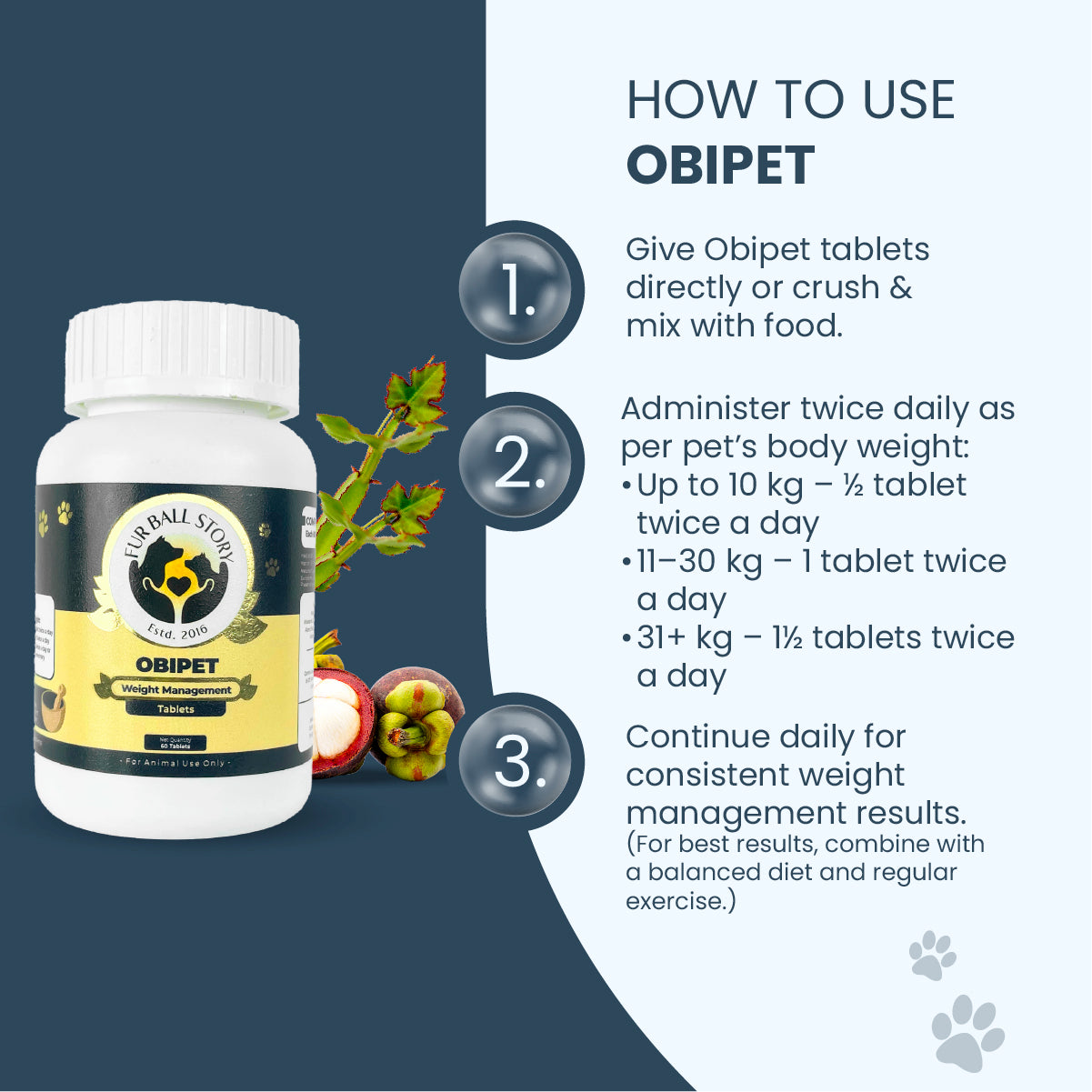 Obipet: Ayurvedic Weight Management Tablets for Dogs – 60 Tabs