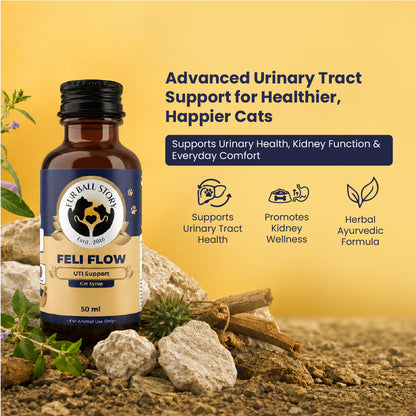 Feli Flow – Urinary Health Support Syrup for Cats | 50ml