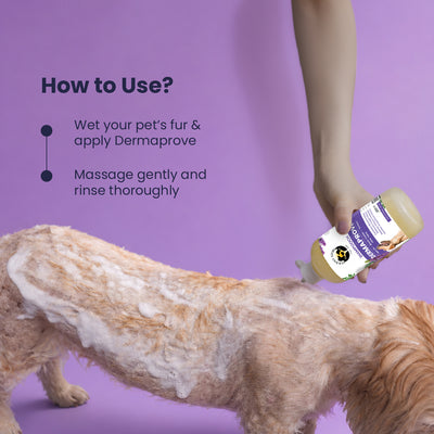 Dermaprove Shampooch: Antifungal Dog Shampoo - 200 ml