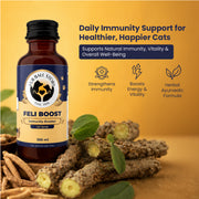 Feli Boost – Immunity Support Syrup for Cats | 50ml