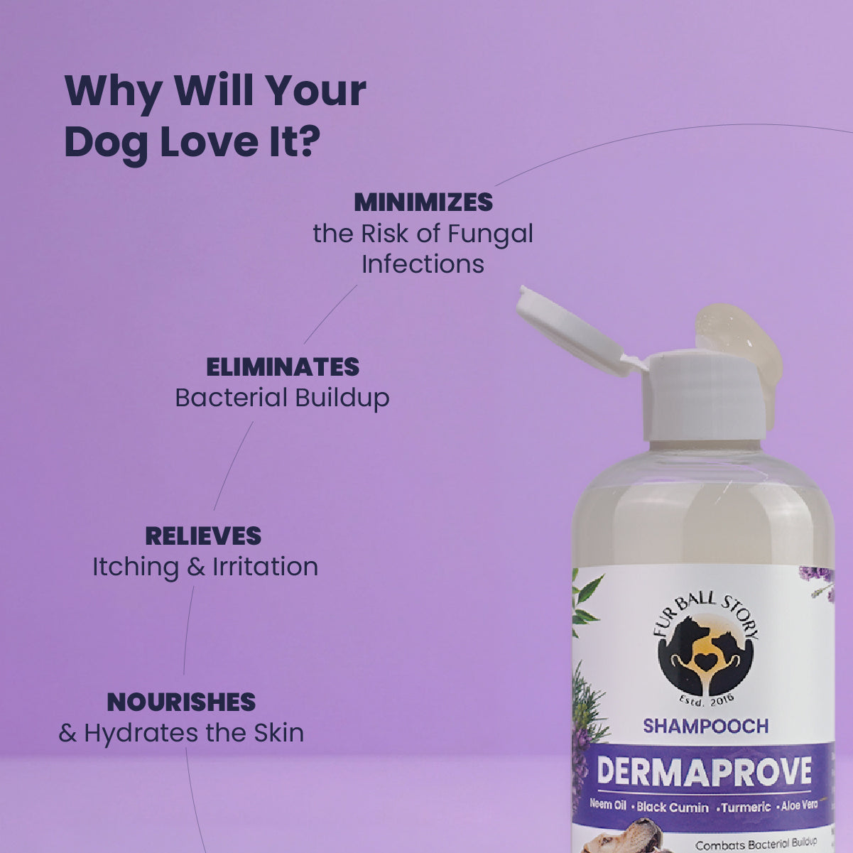 Dermaprove Shampooch: Antifungal Dog Shampoo - 200 ml