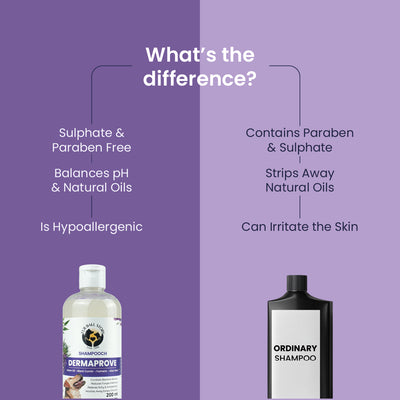 Dermaprove Shampooch: Antifungal Dog Shampoo - 200 ml