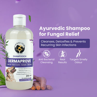 Dermaprove Shampooch: Antifungal Dog Shampoo - 200 ml