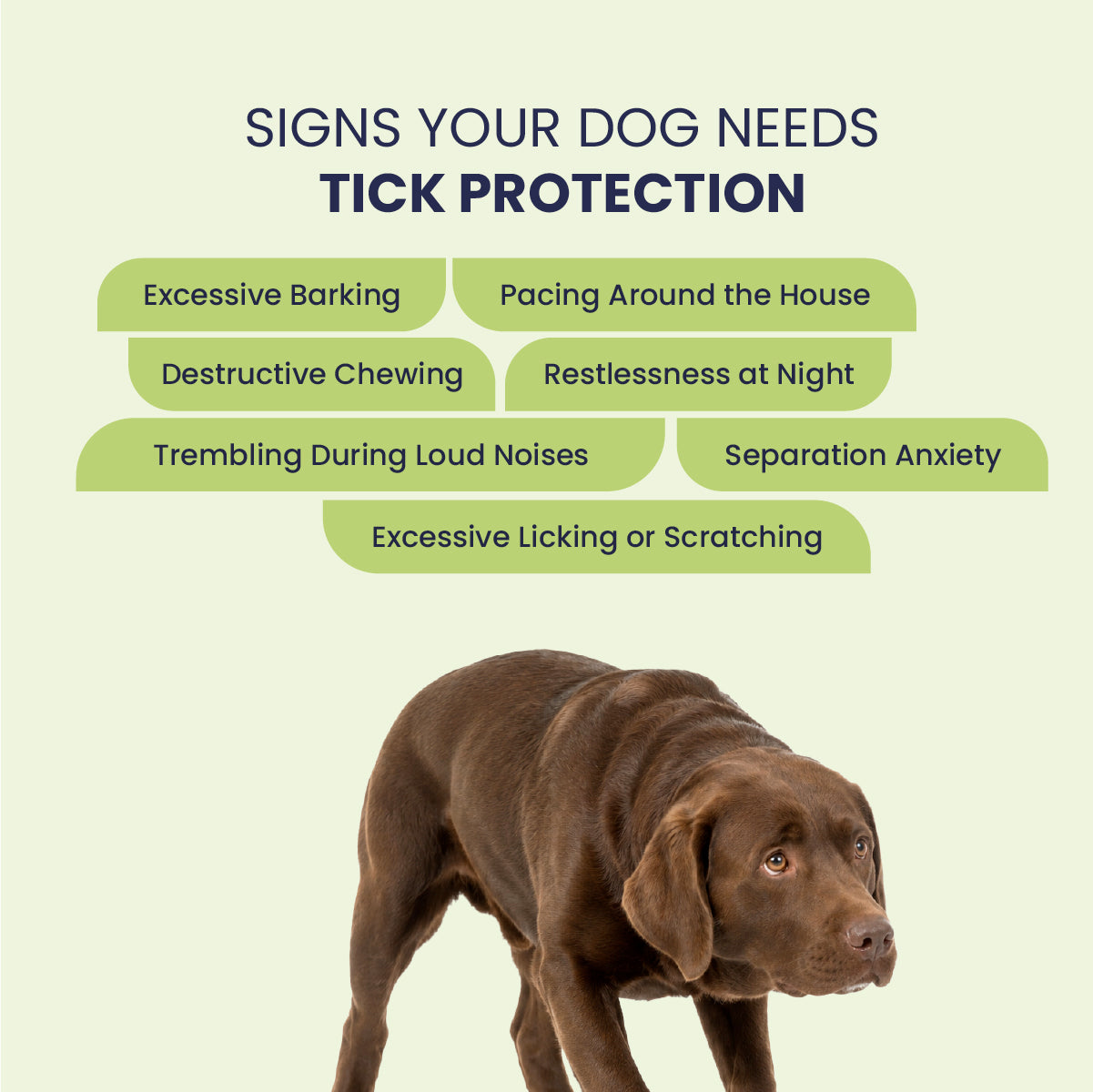 Tick Free: Tick & Flea Repelling Spray For Dogs & Cats