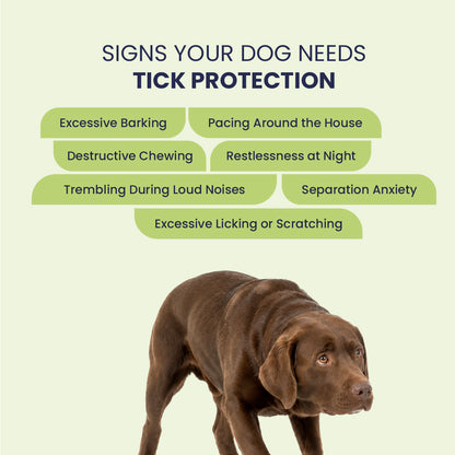 Tick Free: Tick & Flea Repelling Spray For Dogs & Cats
