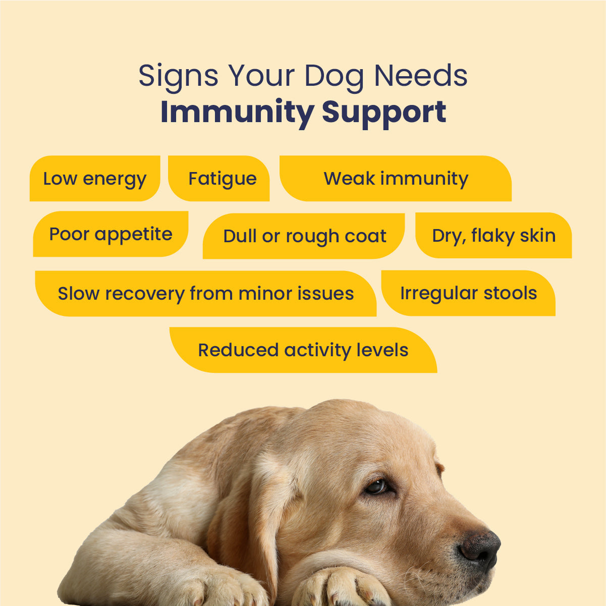Dog Wellness Supplement, Dog Immunity Booster, Immunity Booster for Dogs, Dog Nutrition Supplement, Best Multivitamin for Dogs