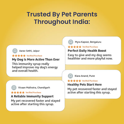 Supertonic Syrup: Ensures Head to Tail Wellness of Dogs & Cats - 200ml