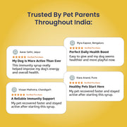 Supertonic Syrup: Ensures Head to Tail Wellness of Dogs & Cats - 200ml