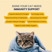Feli Boost – Immunity Support Syrup for Cats | 50ml