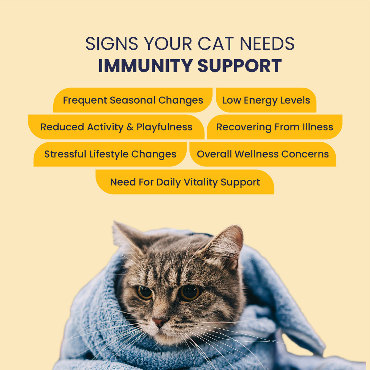 Feli Boost Ayurvedic immunity booster for cats supporting stronger immunity, energy, vitality, and overall health
