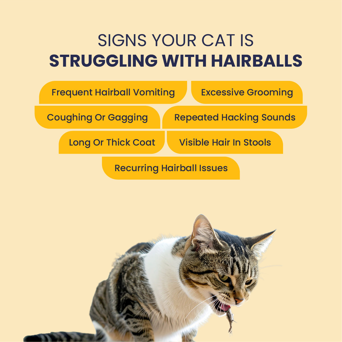 Signs your cat is struggling with hairballs including frequent vomiting, coughing, excessive grooming, and visible hair in stools with Fur Ball Story Feli Clear