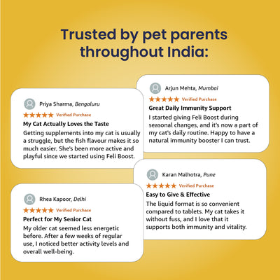 Feli Boost – Immunity Support Syrup for Cats | 50ml